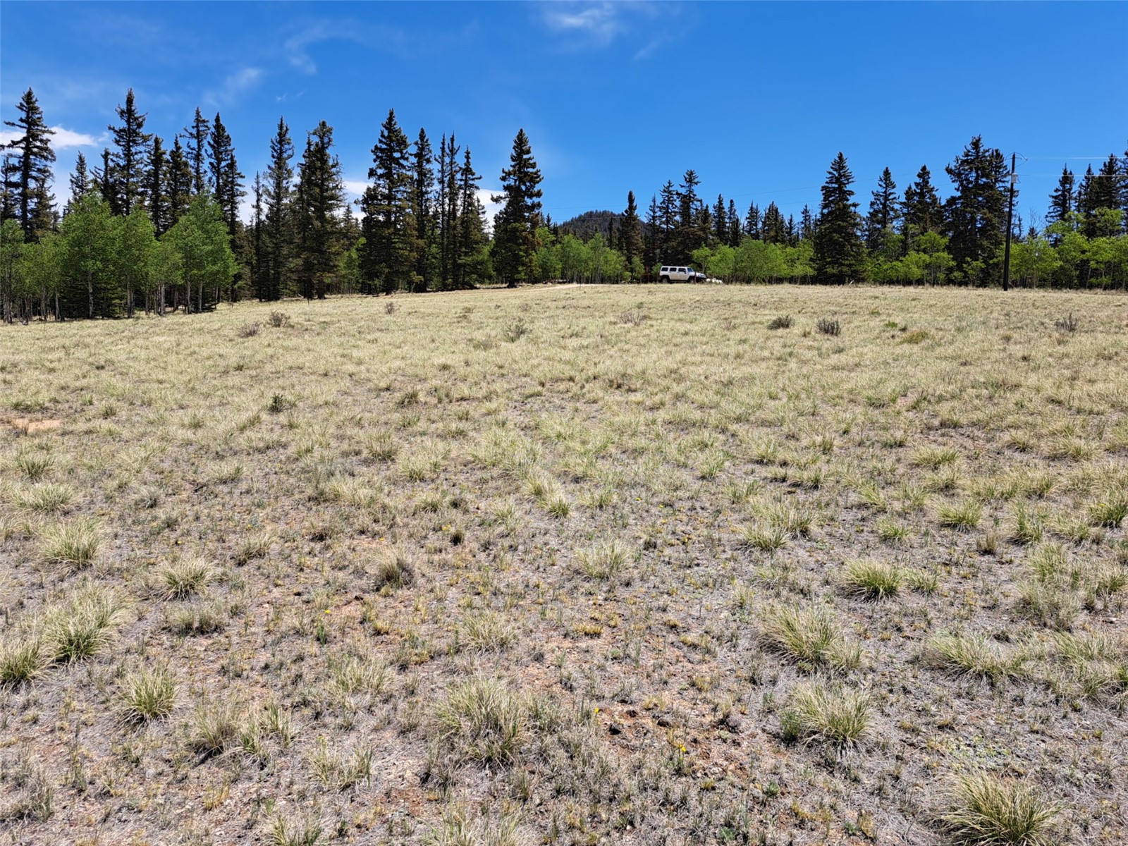 109 Chippewa Road Como, CO 80456 - Photo 21 of 24 Gallery Image 21