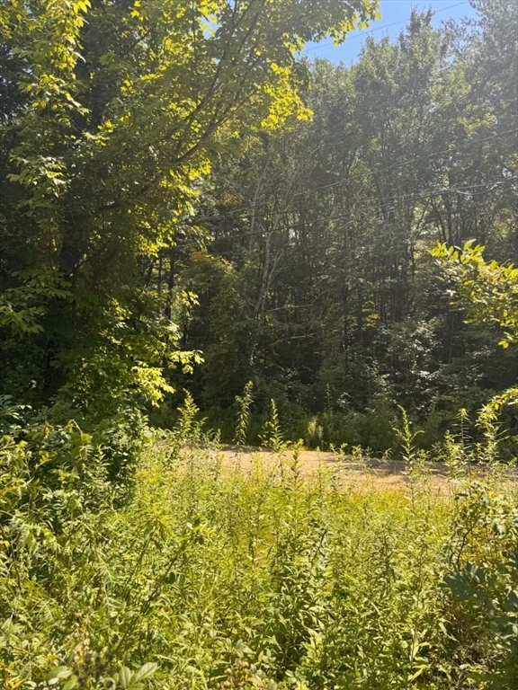264 Breen Road Hardwick, MA 01037 - Photo 10 of 12 Gallery Image 10