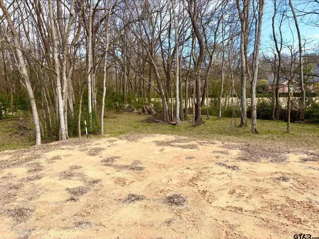 a backyard of a house with lots of trees