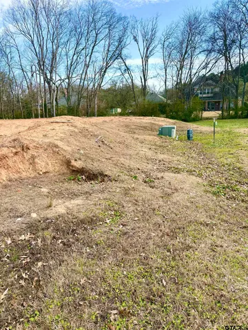 a view of an outdoor space and a yard