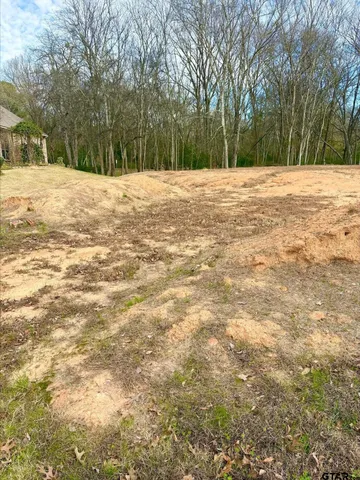 a view of an outdoor space with yard