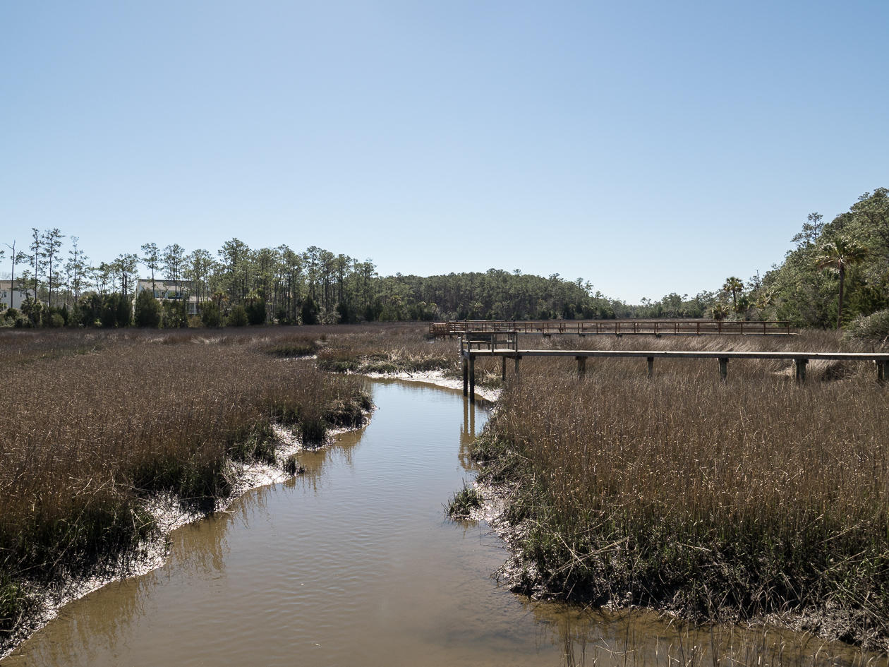 2116 Malcolm Road Mount Pleasant, SC 29466 - Photo 51 of 52 2116 Malcolm Rd-2271434