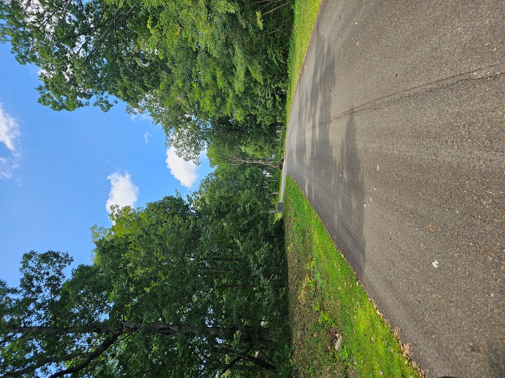 0 Lot 272 Andes Ridge Jasper, GA 30143 - Photo 14 of 59 Gallery Image 14