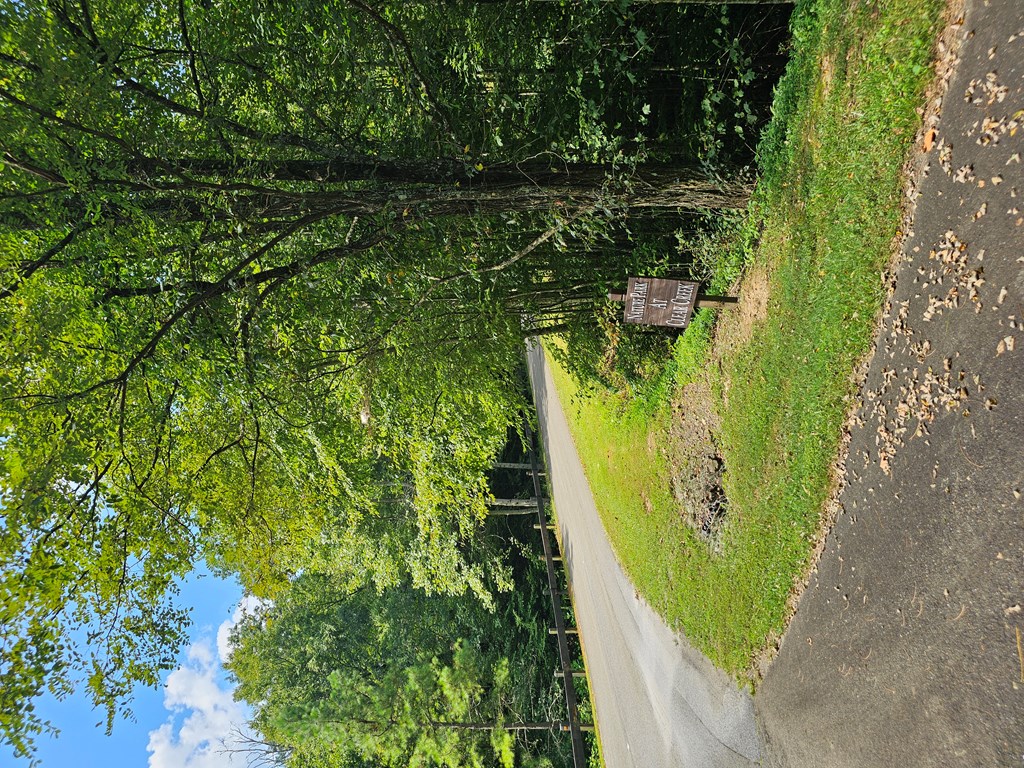 0 Lot 272 Andes Ridge Jasper, GA 30143 - Photo 29 of 59 Gallery Image 29