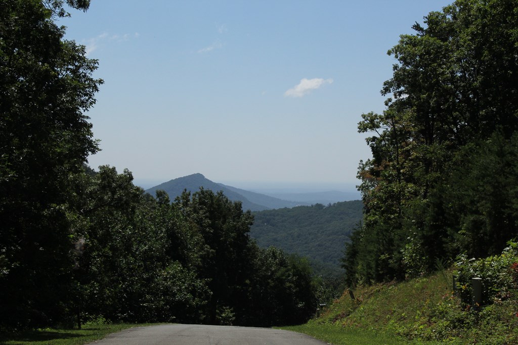 0 Lot 272 Andes Ridge Jasper, GA 30143 - Photo 56 of 59 Gallery Image 56