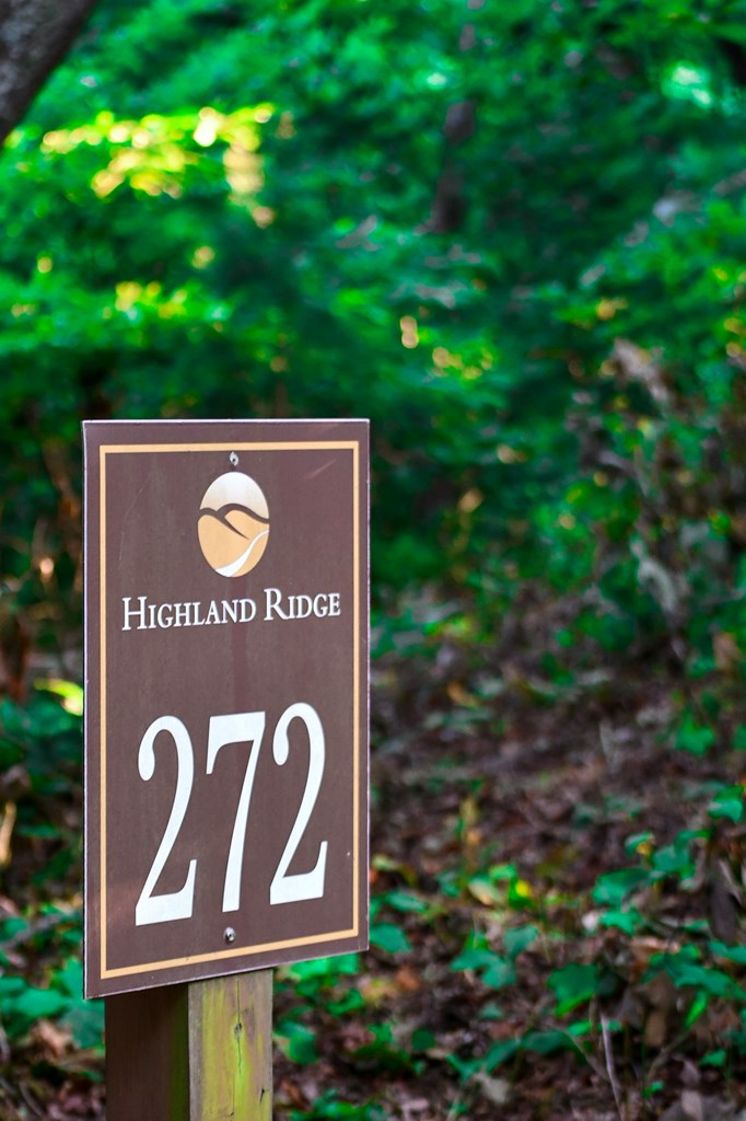 0 Lot 272 Andes Ridge Jasper, GA 30143 - Photo 58 of 59 Gallery Image 58