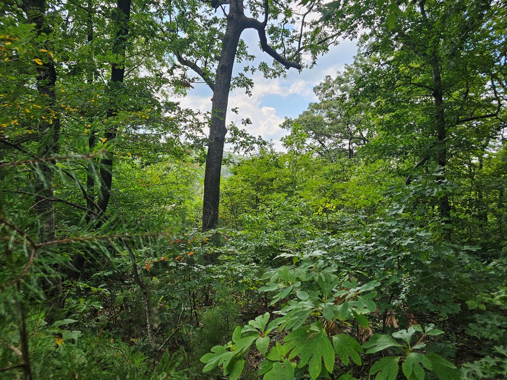 0 Lot 272 Andes Ridge Jasper, GA 30143 - Photo 6 of 59 Gallery Image 6