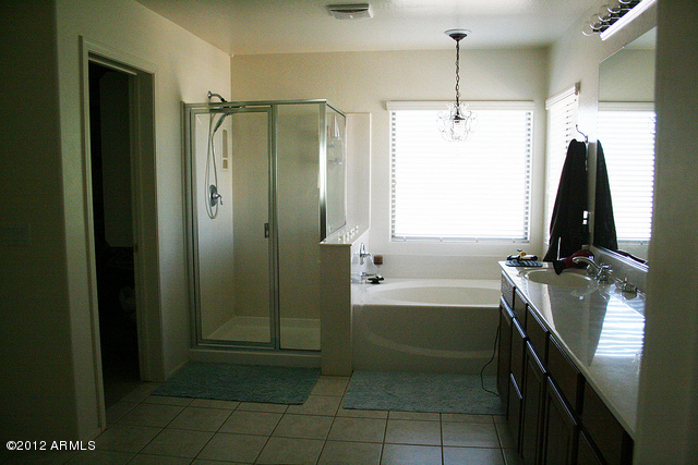 3044 South Martingale Road Gilbert, AZ 85295 - Photo 8 of 20 a bathroom with a tub a sink and a shower