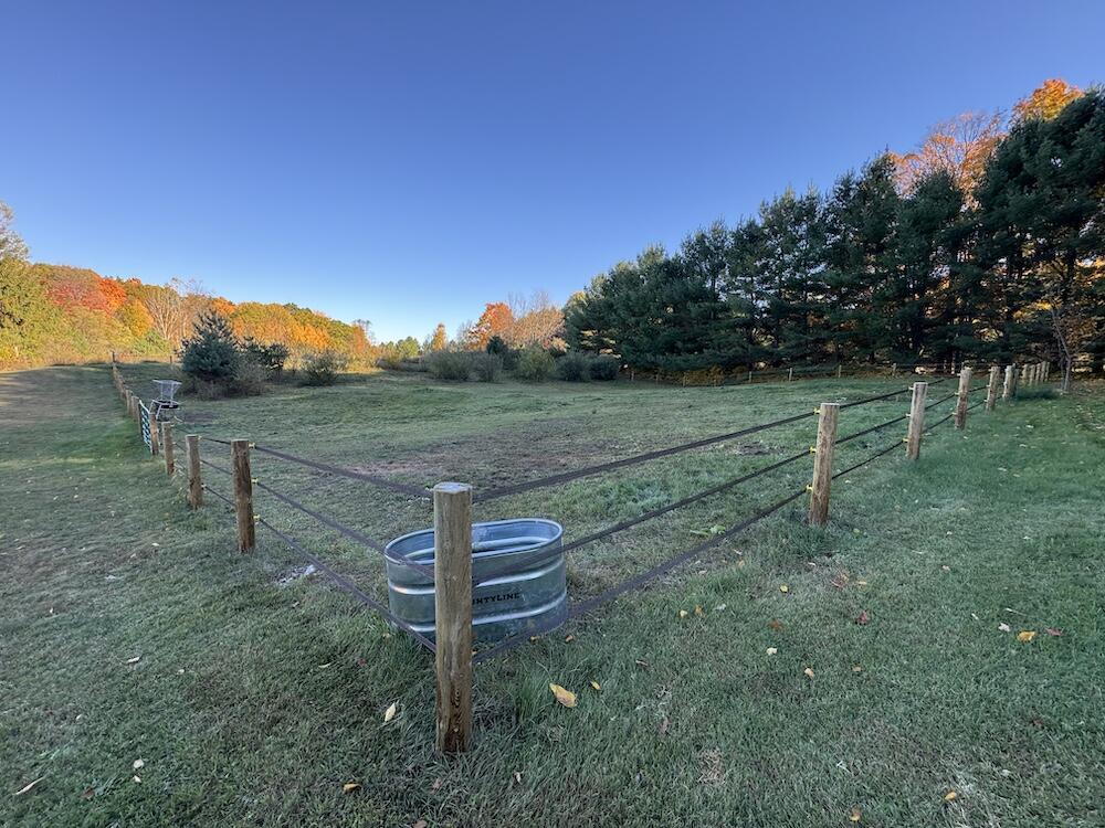 4116 Dutcher Road Gladwin, MI 48624 - Photo 11 of 135 8