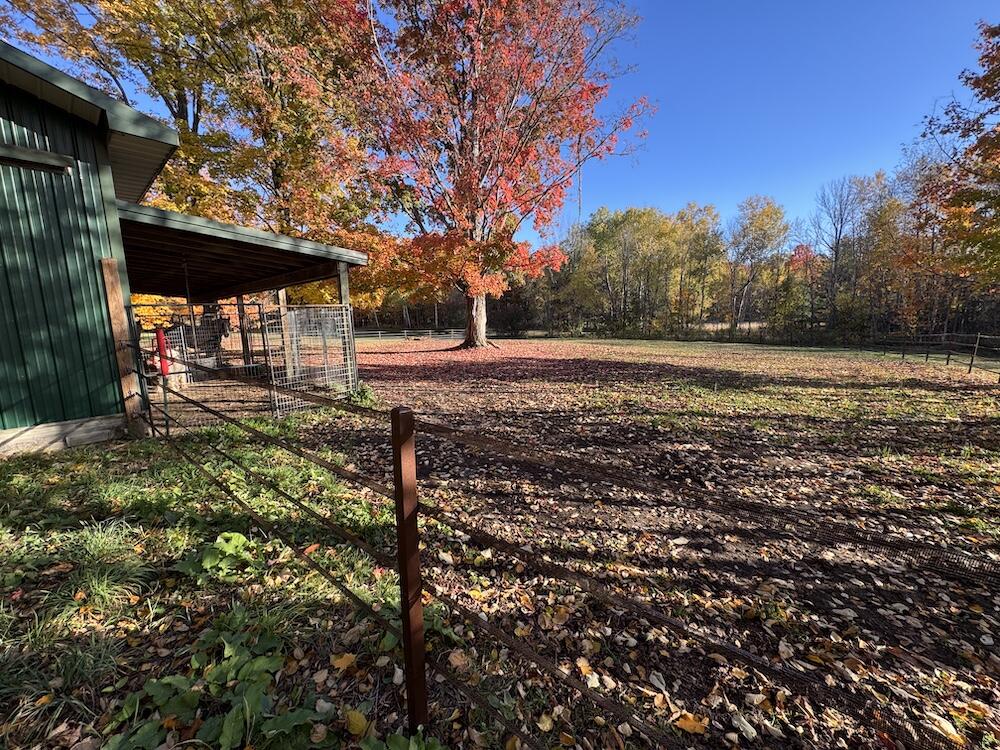 4116 Dutcher Road Gladwin, MI 48624 - Photo 111 of 135 IMG_6664 2