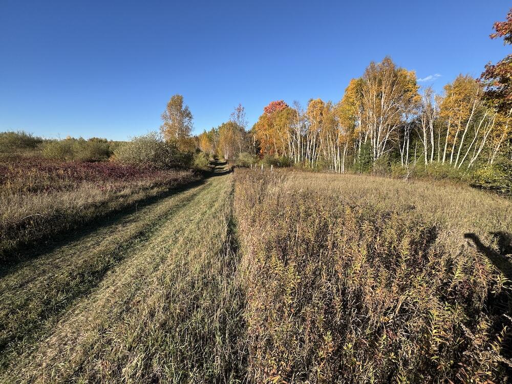 4116 Dutcher Road Gladwin, MI 48624 - Photo 115 of 135 IMG_6674 2