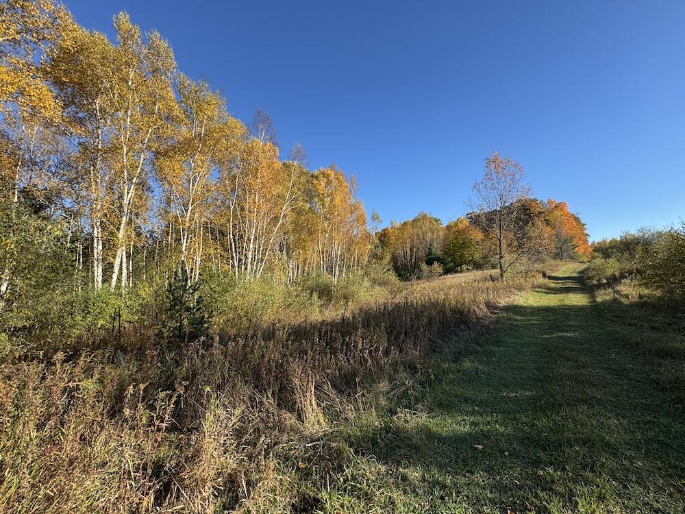 4116 Dutcher Road Gladwin, MI 48624 - Photo 116 of 135 IMG_6675 2