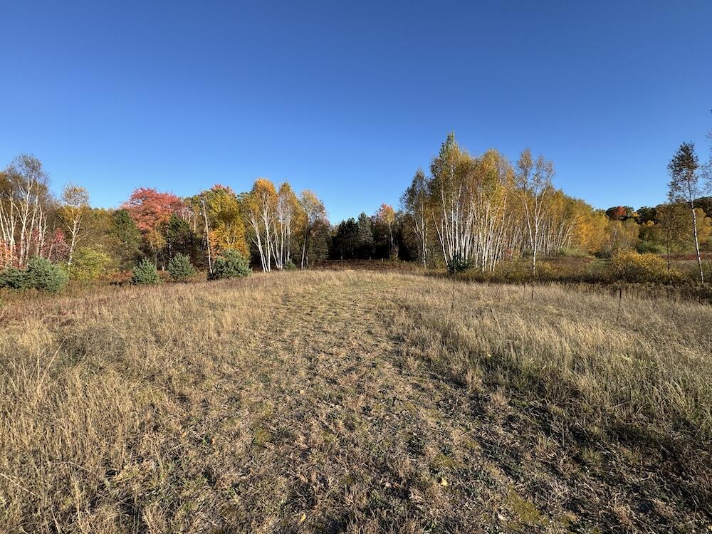 4116 Dutcher Road Gladwin, MI 48624 - Photo 118 of 135 IMG_6677 2