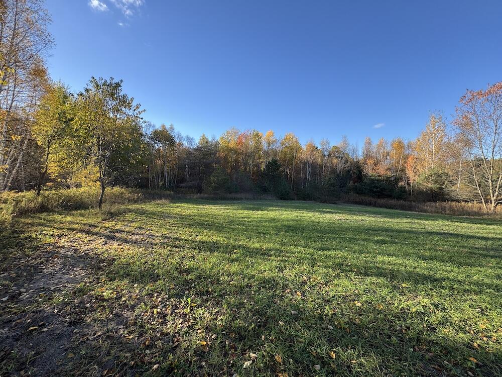 4116 Dutcher Road Gladwin, MI 48624 - Photo 121 of 135 IMG_6682 2