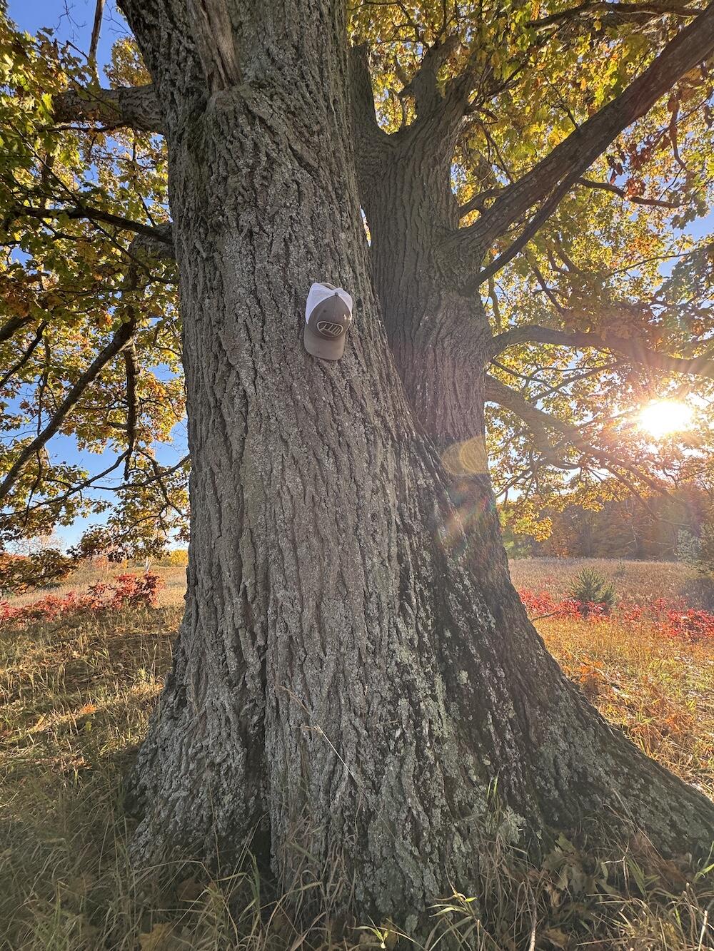 4116 Dutcher Road Gladwin, MI 48624 - Photo 124 of 135 IMG_6688 2