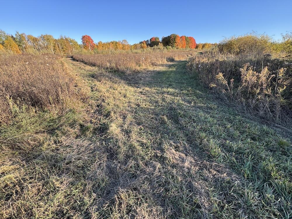 4116 Dutcher Road Gladwin, MI 48624 - Photo 128 of 135 IMG_6693 2