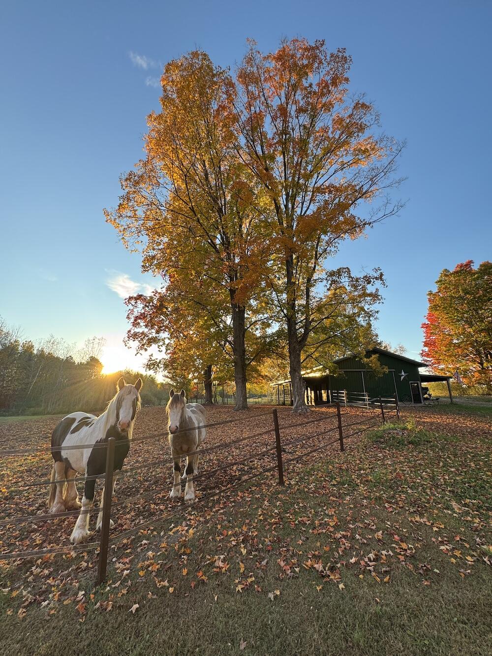4116 Dutcher Road Gladwin, MI 48624 - Photo 132 of 135 IMG_6699 2