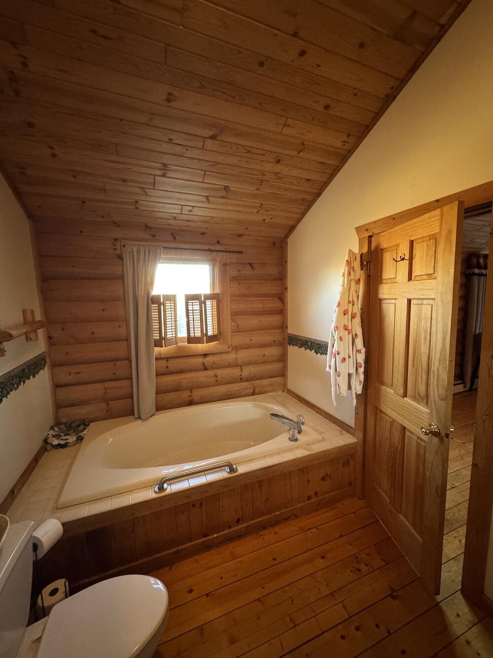 4116 Dutcher Road Gladwin, MI 48624 - Photo 42 of 135 IMG_6592