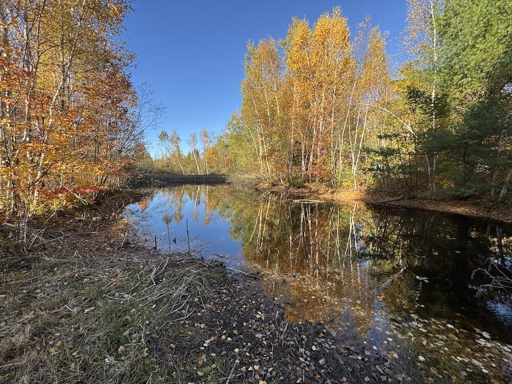 4116 Dutcher Road Gladwin, MI 48624 - Photo 5 of 135 2