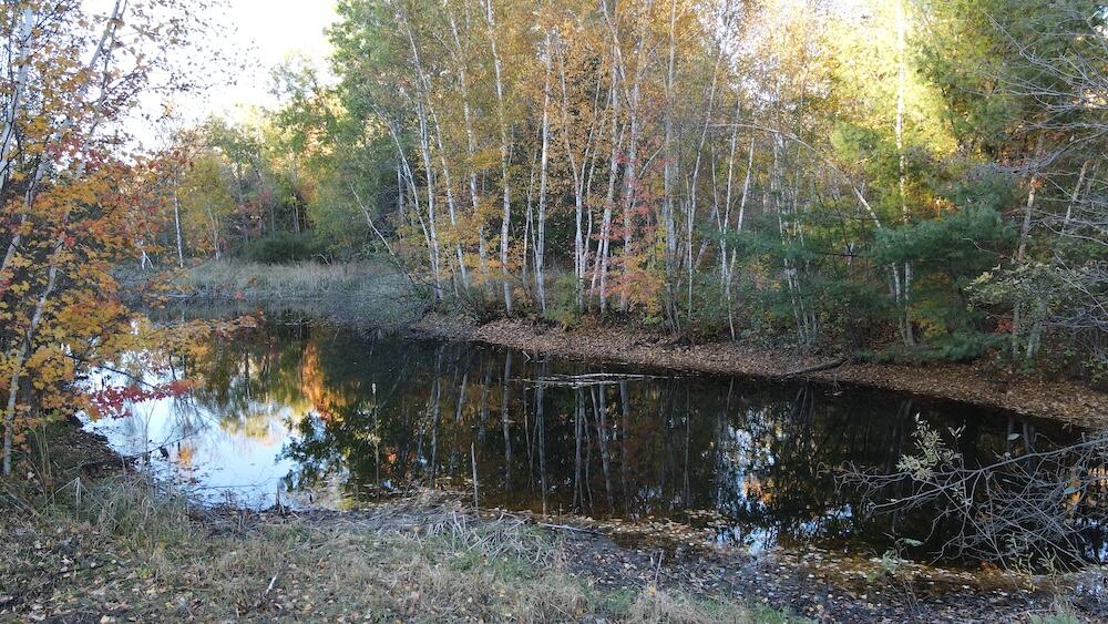 4116 Dutcher Road Gladwin, MI 48624 - Photo 63 of 135 5