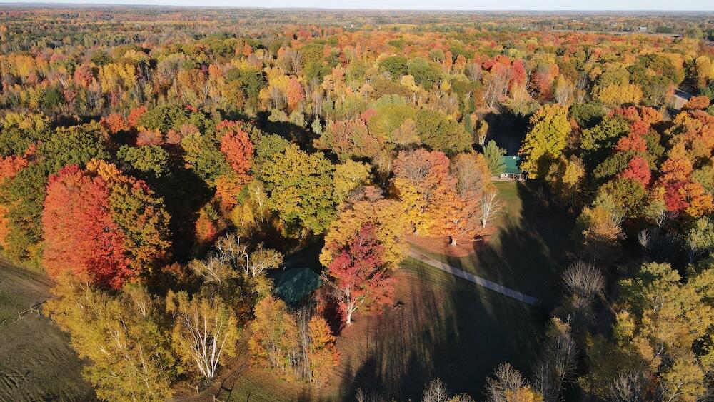 4116 Dutcher Road Gladwin, MI 48624 - Photo 70 of 135 DJI_0261