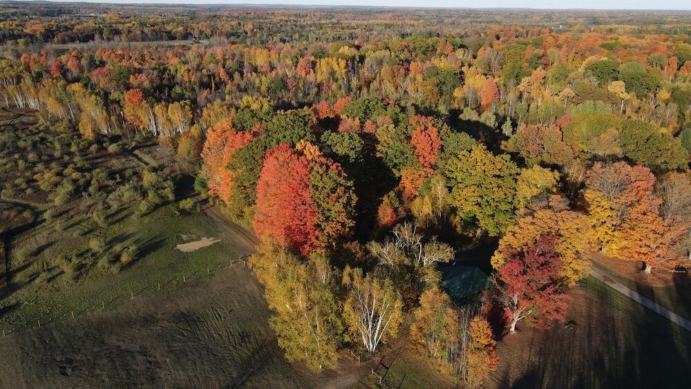 4116 Dutcher Road Gladwin, MI 48624 - Photo 71 of 135 DJI_0262