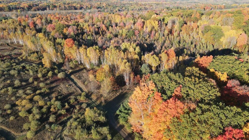 4116 Dutcher Road Gladwin, MI 48624 - Photo 73 of 135 DJI_0264