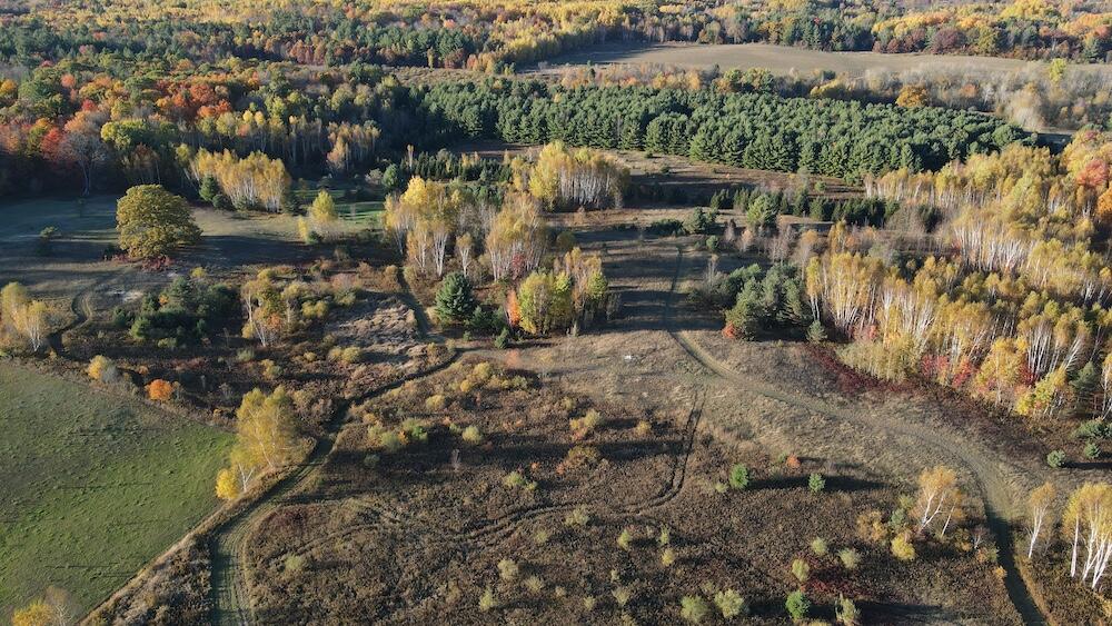 4116 Dutcher Road Gladwin, MI 48624 - Photo 74 of 135 DJI_0265