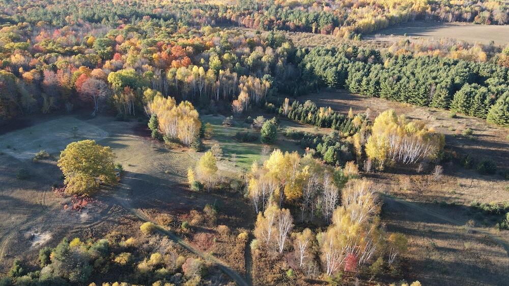 4116 Dutcher Road Gladwin, MI 48624 - Photo 75 of 135 DJI_0266