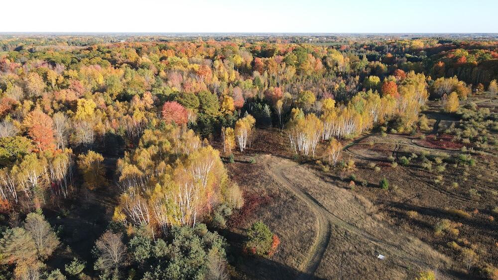 4116 Dutcher Road Gladwin, MI 48624 - Photo 78 of 135 DJI_0271