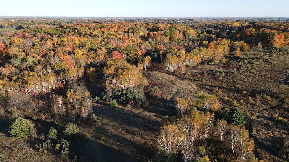 4116 Dutcher Road Gladwin, MI 48624 - Photo 79 of 135 DJI_0272