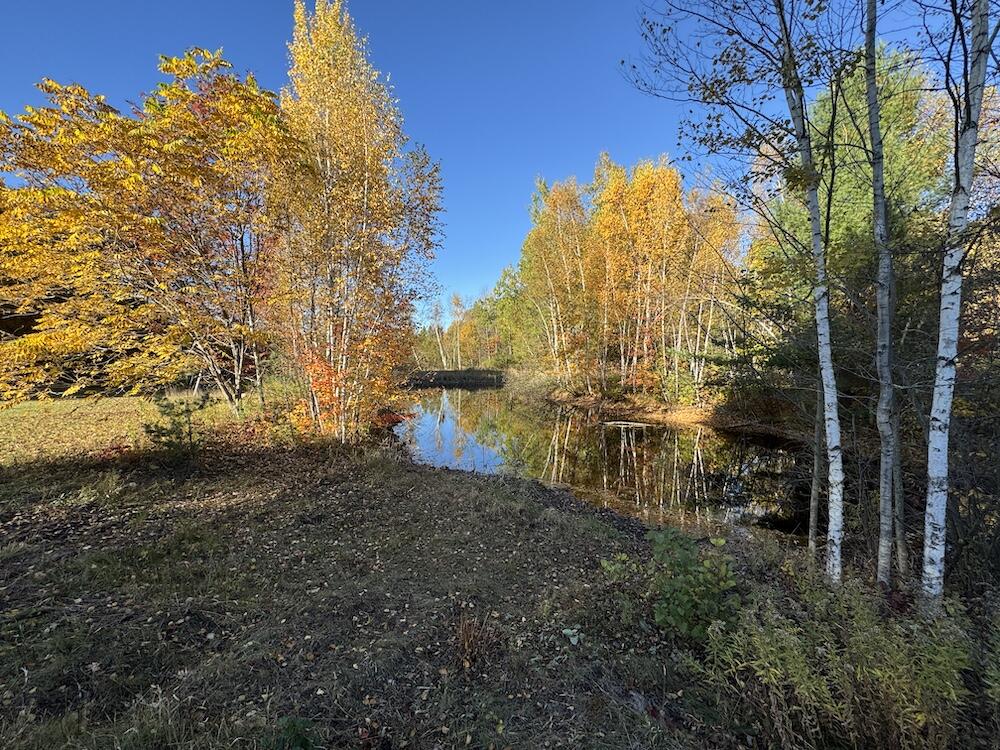 4116 Dutcher Road Gladwin, MI 48624 - Photo 85 of 135 IMG_6628 2