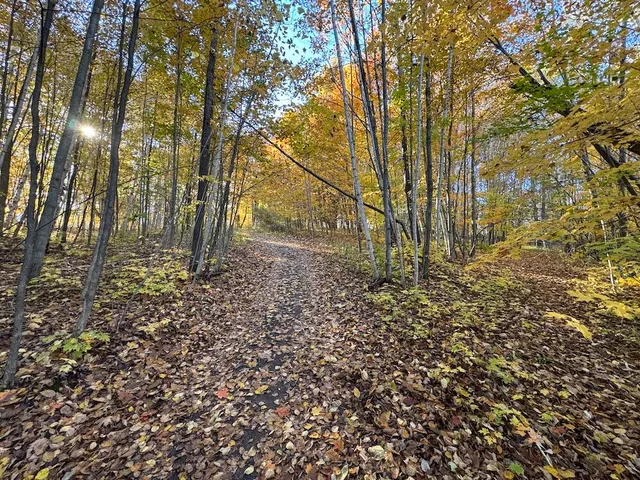 $699,000 | 4116 Dutcher Road, Gladwin, MI 48624