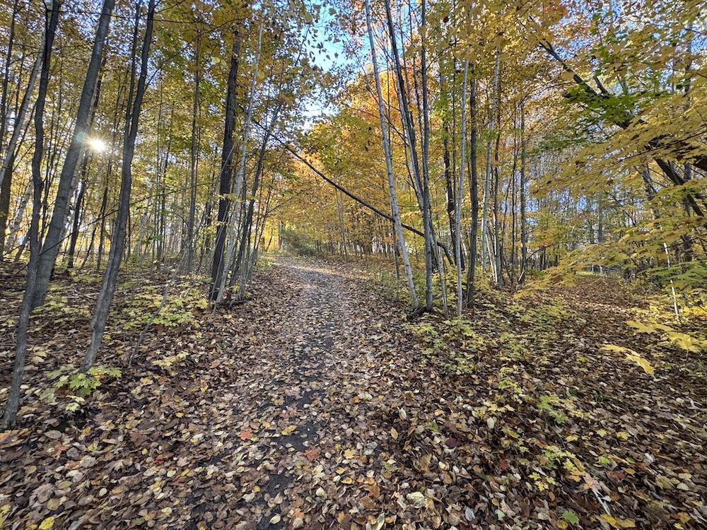 4116 Dutcher Road Gladwin, MI 48624 - Photo 89 of 135 IMG_6635 2