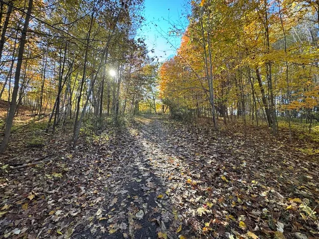 $699,000 | 4116 Dutcher Road, Gladwin, MI 48624