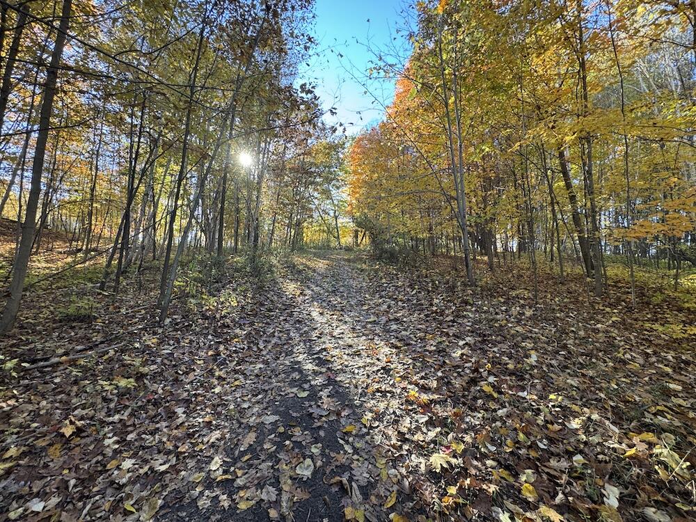 4116 Dutcher Road Gladwin, MI 48624 - Photo 90 of 135 IMG_6636 2