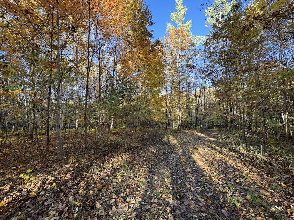 4116 Dutcher Road Gladwin, MI 48624 - Photo 91 of 135 IMG_6637 2