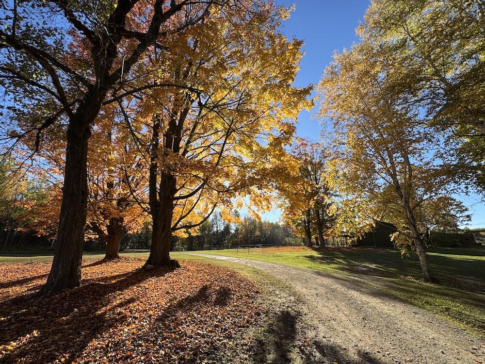 4116 Dutcher Road Gladwin, MI 48624 - Photo 93 of 135 IMG_6639 2