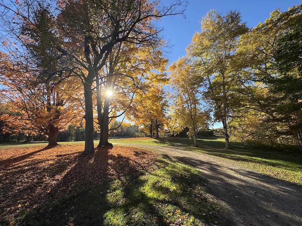 4116 Dutcher Road Gladwin, MI 48624 - Photo 94 of 135 IMG_6640 2