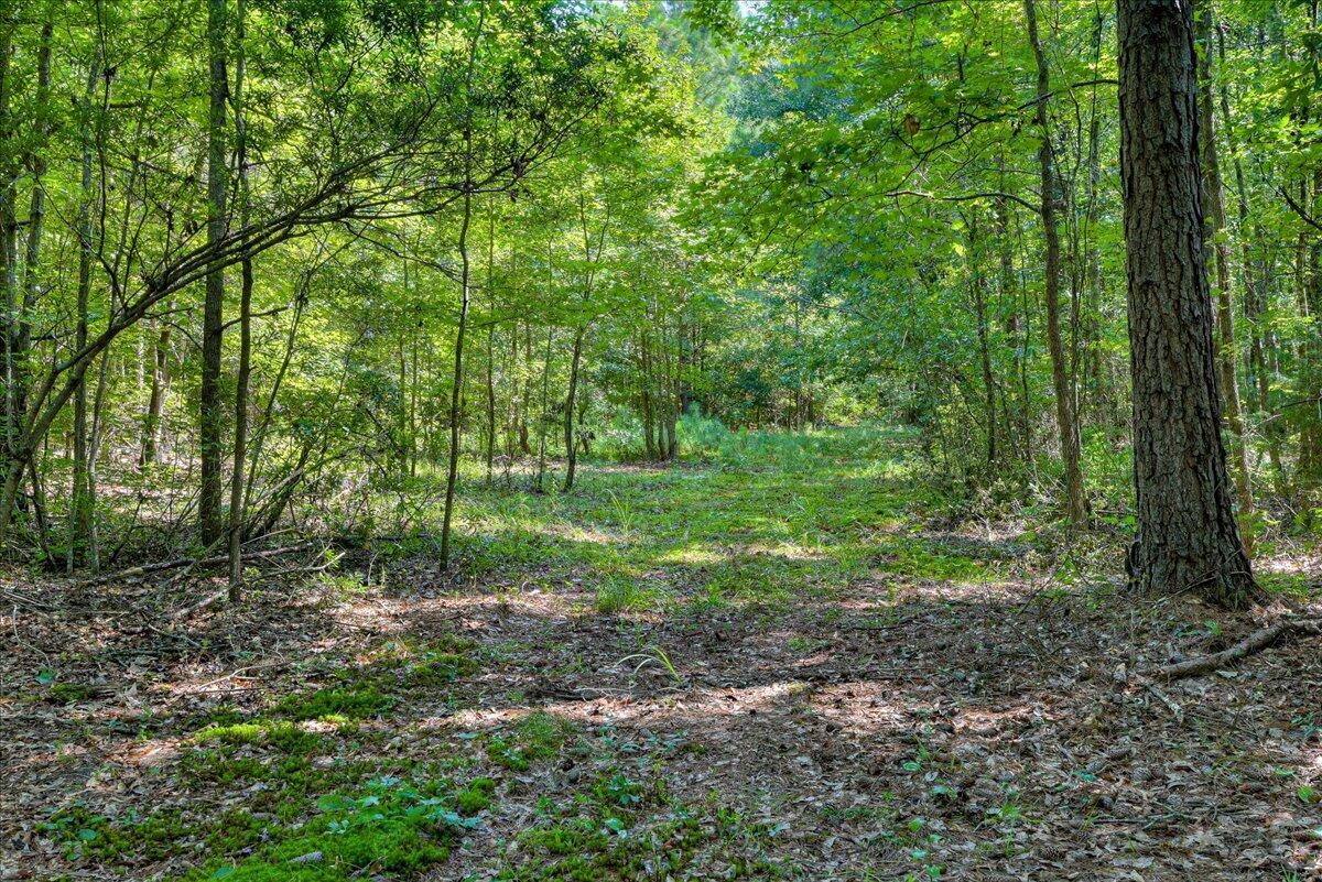 0 Dearing Acres Road Dearing, GA 30808 - Photo 1 of 24 24-124