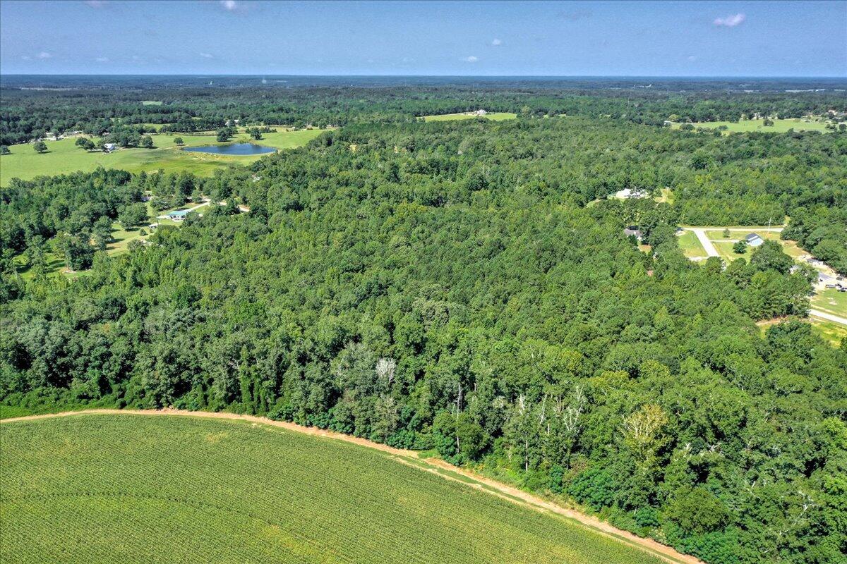 0 Dearing Acres Road Dearing, GA 30808 - Photo 13 of 24 12-112