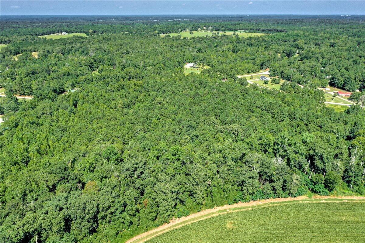 0 Dearing Acres Road Dearing, GA 30808 - Photo 15 of 24 10-110