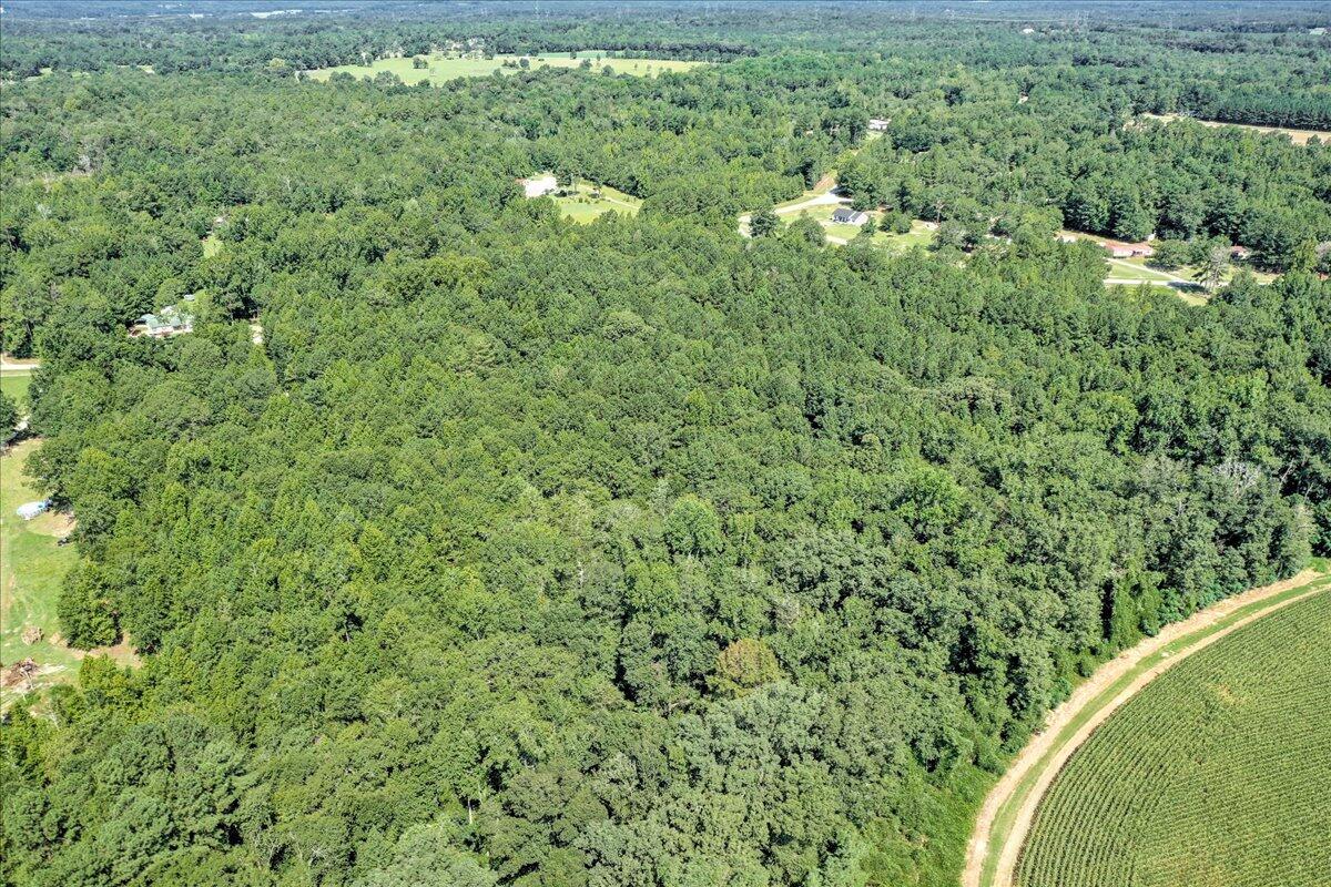 0 Dearing Acres Road Dearing, GA 30808 - Photo 16 of 24 09-109