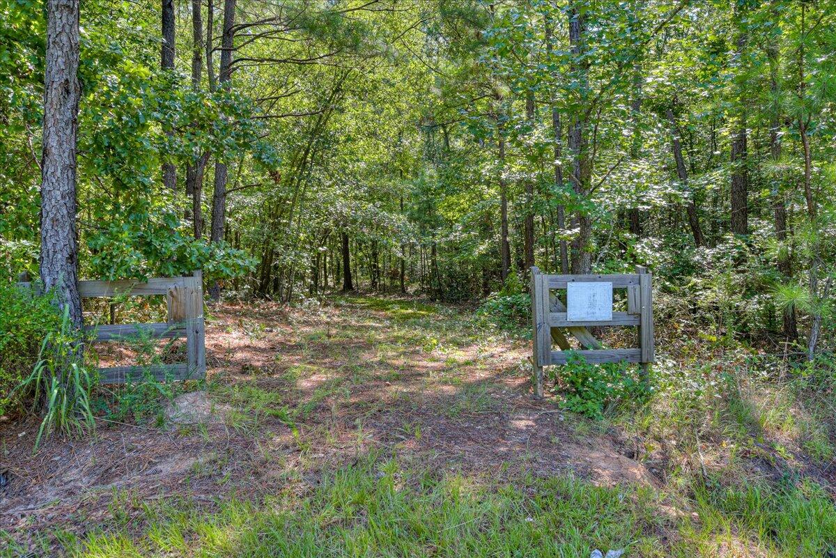 0 Dearing Acres Road Dearing, GA 30808 - Photo 2 of 24 23-123