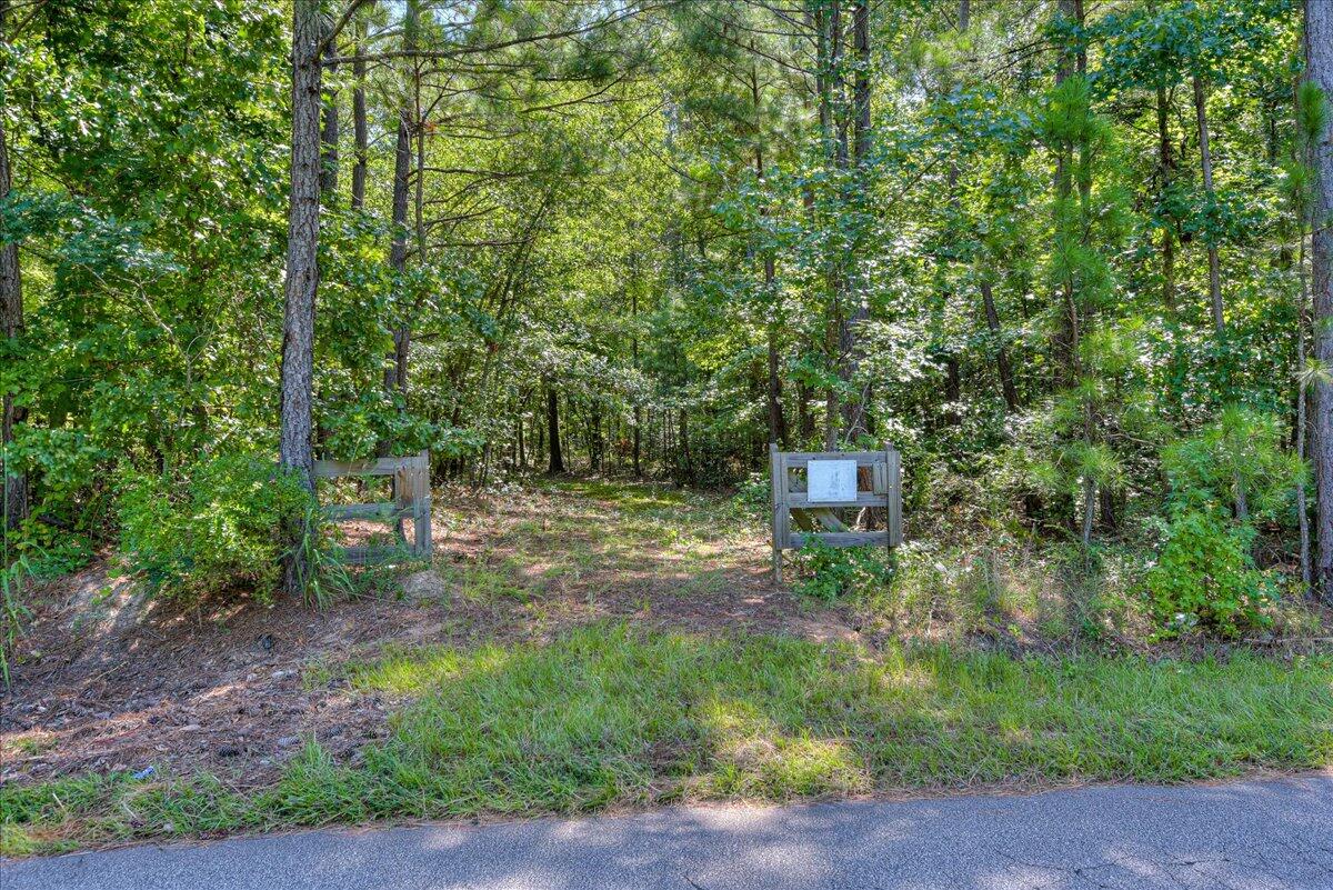 0 Dearing Acres Road Dearing, GA 30808 - Photo 3 of 24 22-122
