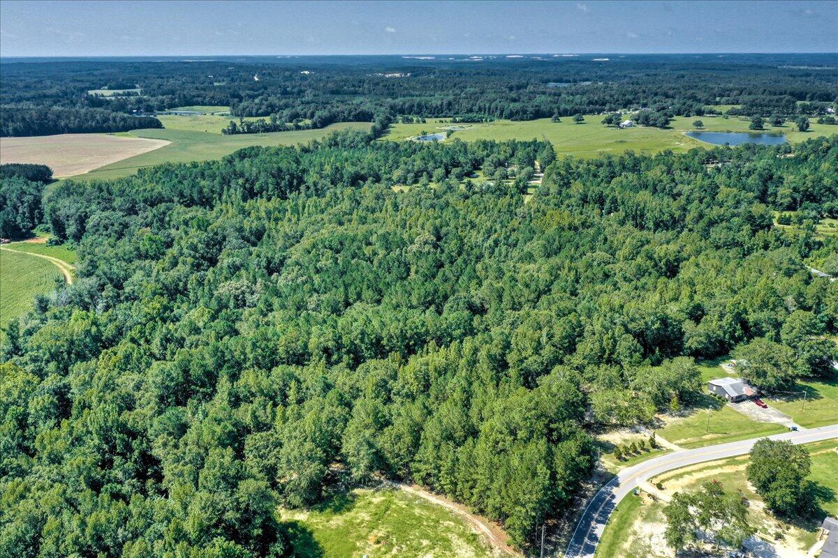 0 Dearing Acres Road Dearing, GA 30808 - Photo 9 of 24 16-116