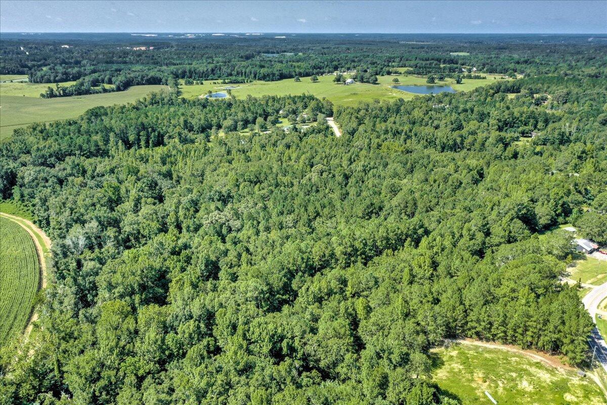 0 Dearing Acres Road Dearing, GA 30808 - Photo 10 of 24 15-115