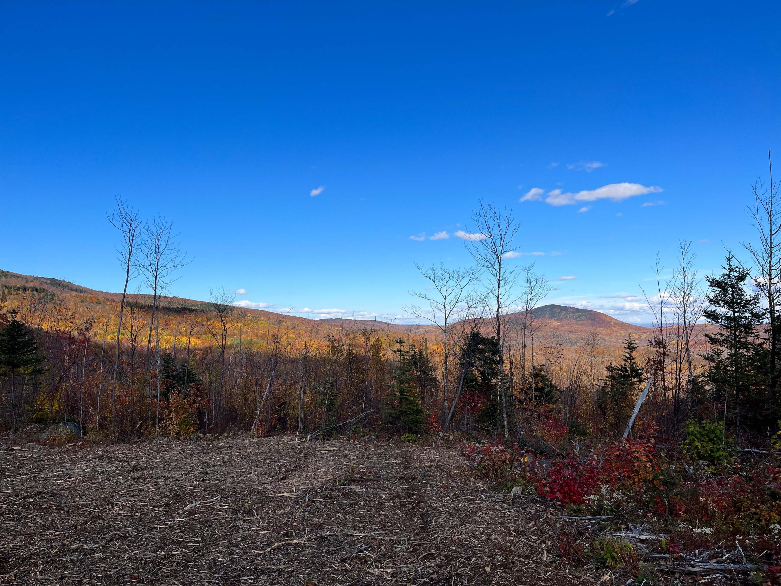 10 West Mountain View Drive Wilton, ME 04294 - Photo 3 of 8 IMG_9387
