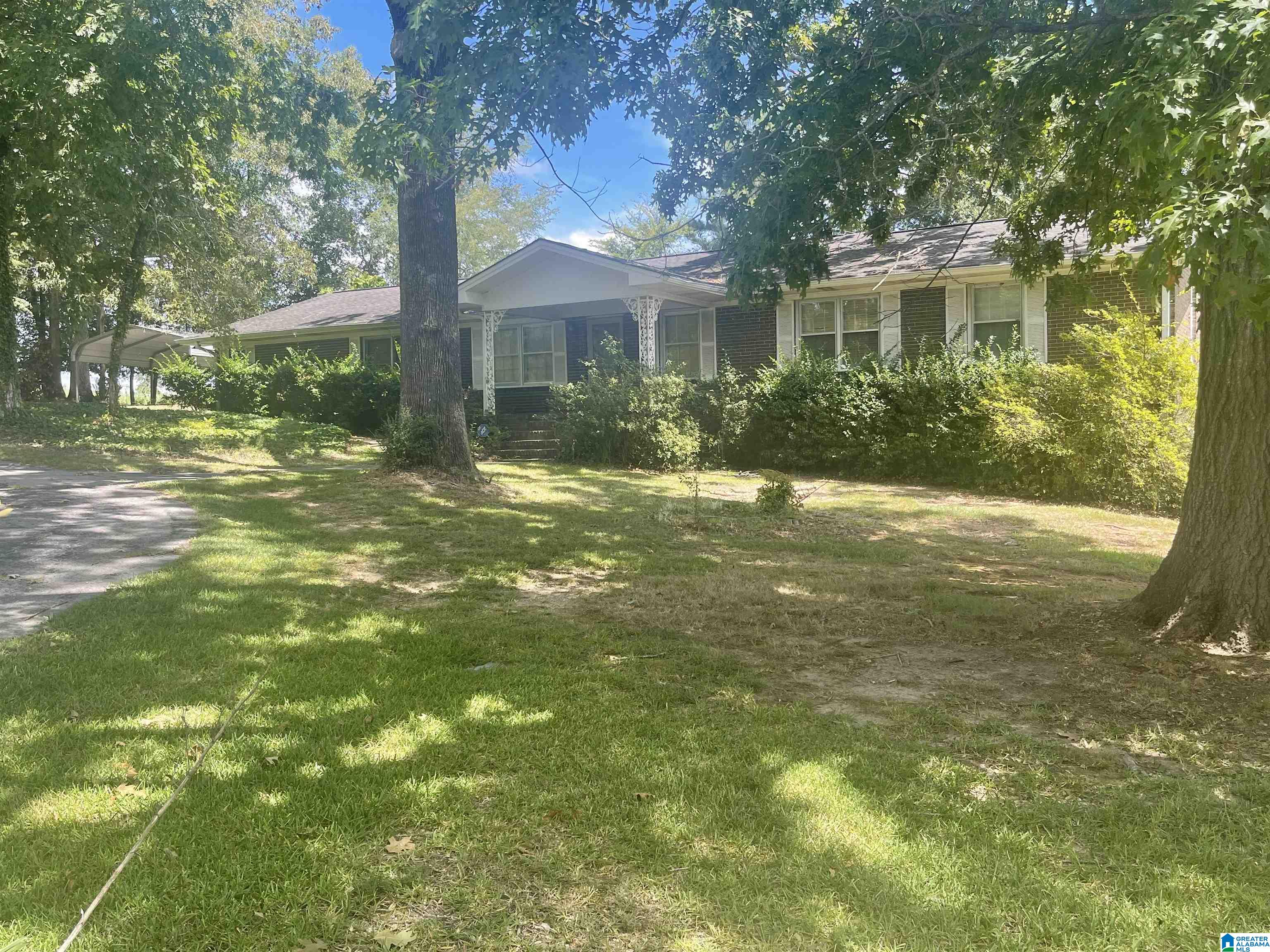 195 Treasure Island Road Cropwell, AL 35054 - Photo 1 of 3