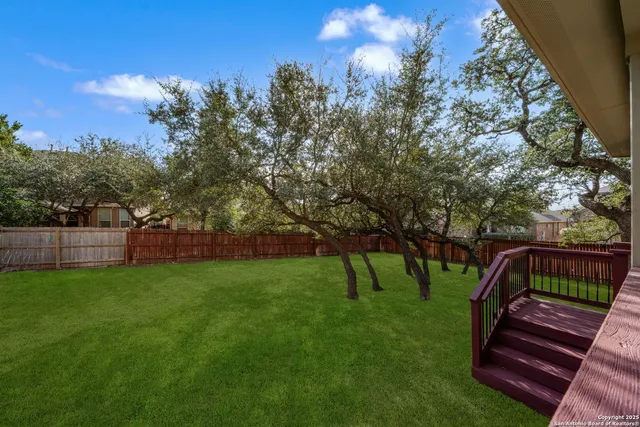 a view of a garden with trees